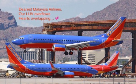 Malaysia Airlines Flight 17 Luv